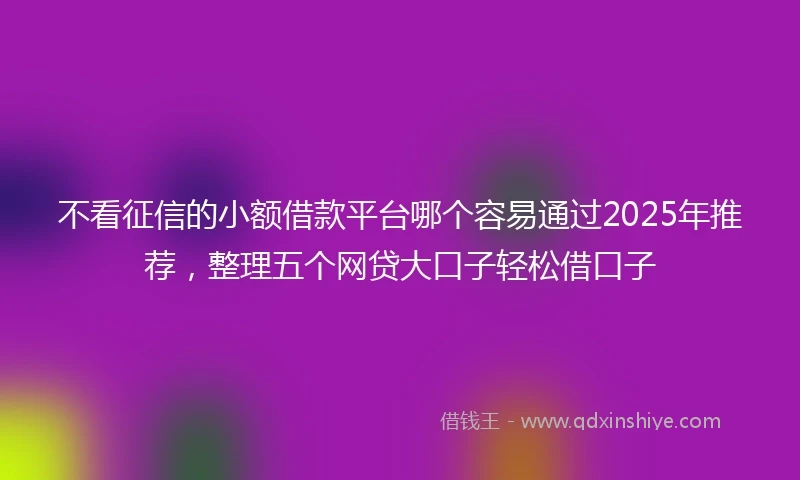 不看征信的小额借款平台哪个容易通过2025年推荐，整理五个网贷大口子轻松借口子