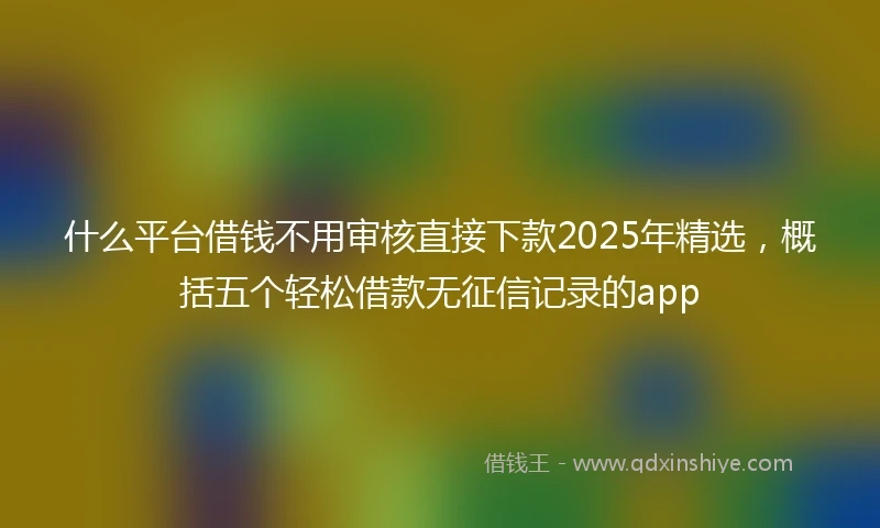 什么平台借钱不用审核直接下款2025年精选，概括五个轻松借款无征信记录的app
