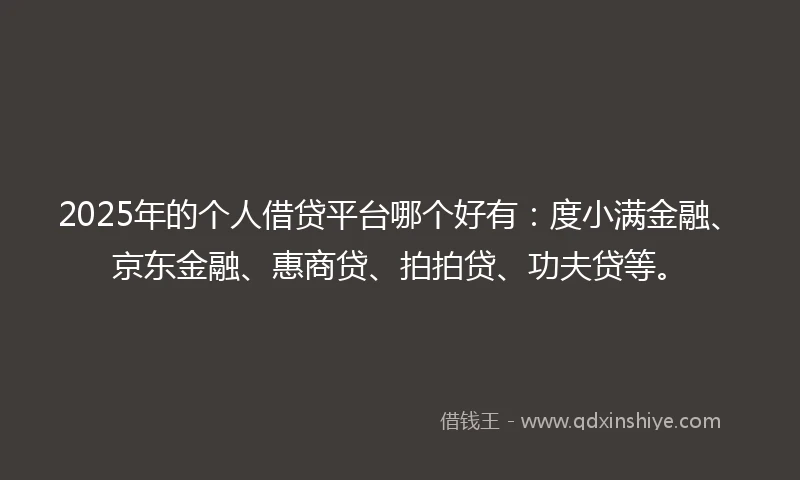 2025年的个人借贷平台哪个好有：度小满金融、京东金融、惠商贷、拍拍贷、功夫贷等。