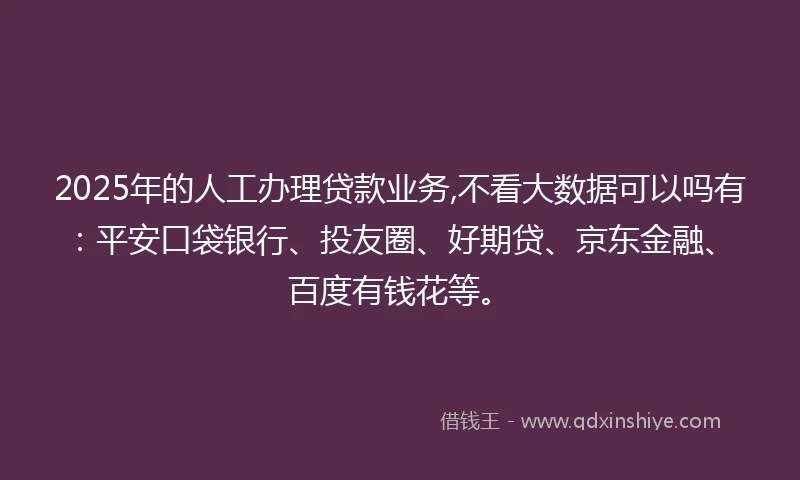 2025年的人工办理贷款业务,不看大数据可以吗有：平安口袋银行、投友圈、好期贷、京东金融、百度有钱花等。