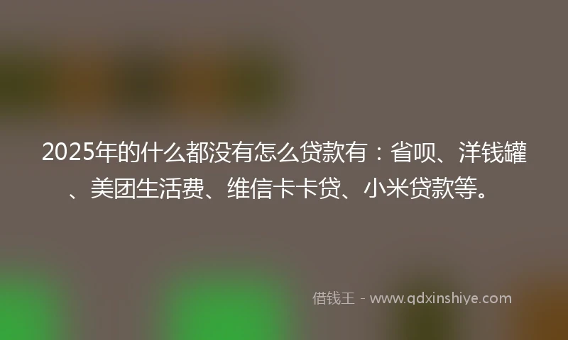 2025年的什么都没有怎么贷款有：省呗、洋钱罐、美团生活费、维信卡卡贷、小米贷款等。