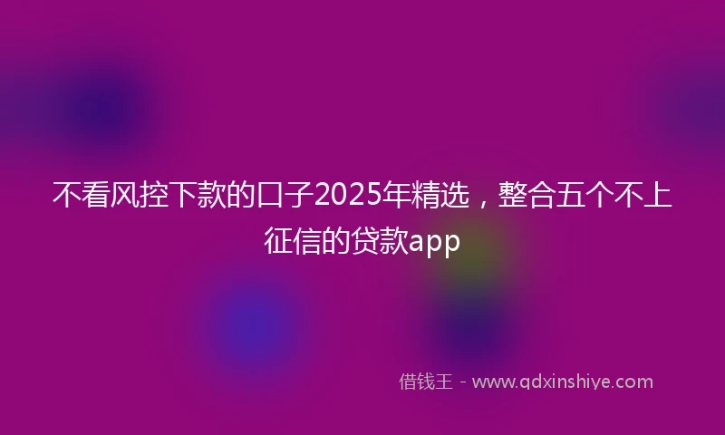 不看风控下款的口子2025年精选，整合五个不上征信的贷款app