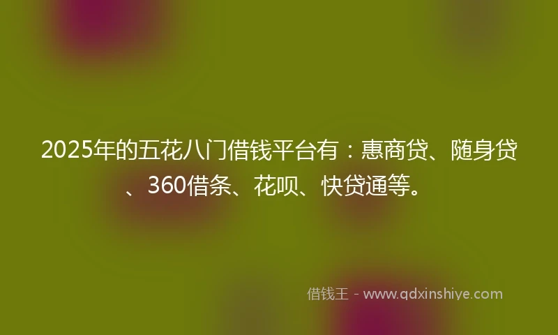 2025年的五花八门借钱平台有：惠商贷、随身贷、360借条、花呗、快贷通等。