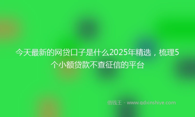 今天最新的网贷口子是什么2025年精选，梳理5个小额贷款不查征信的平台