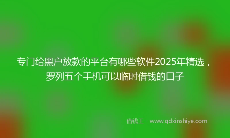 专门给黑户放款的平台有哪些软件2025年精选，罗列五个手机可以临时借钱的口子
