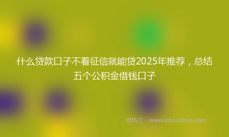 什么贷款口子不看征信就能贷2025年推荐，总结五个公积金借钱口子