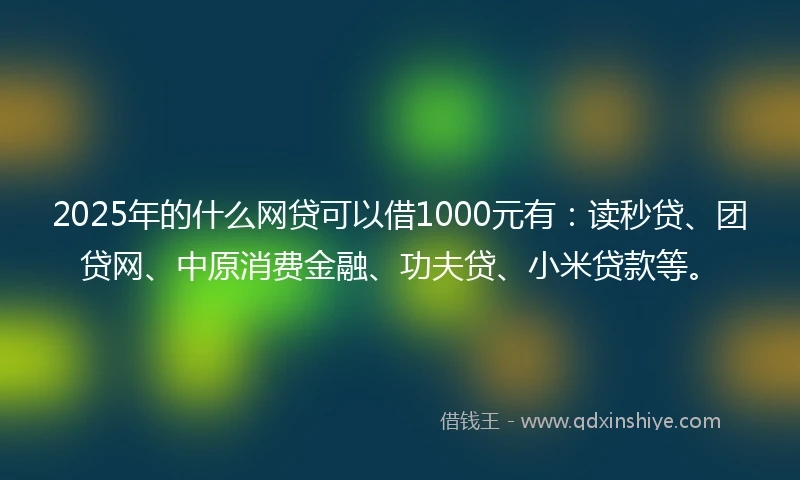 2025年的什么网贷可以借1000元有：读秒贷、团贷网、中原消费金融、功夫贷、小米贷款等。