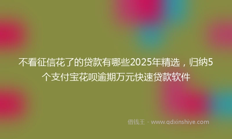 不看征信花了的贷款有哪些2025年精选，归纳5个支付宝花呗逾期万元快速贷款软件