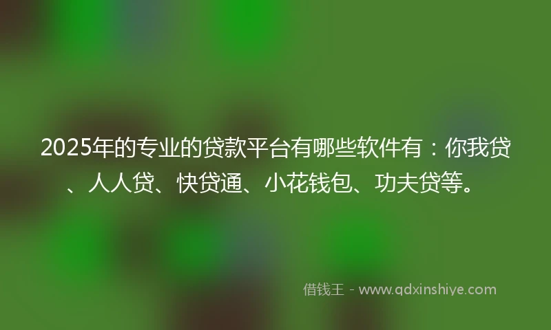 2025年的专业的贷款平台有哪些软件有：你我贷、人人贷、快贷通、小花钱包、功夫贷等。