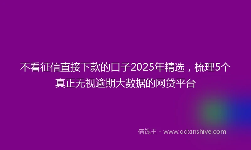 不看征信直接下款的口子2025年精选，梳理5个真正无视逾期大数据的网贷平台