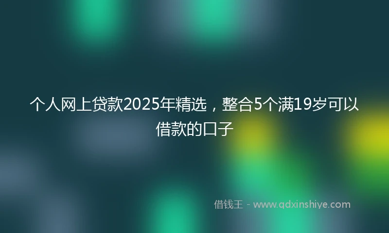 个人网上贷款2025年精选，整合5个满19岁可以借款的口子