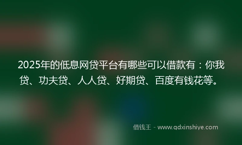 2025年的低息网贷平台有哪些可以借款有：你我贷、功夫贷、人人贷、好期贷、百度有钱花等。