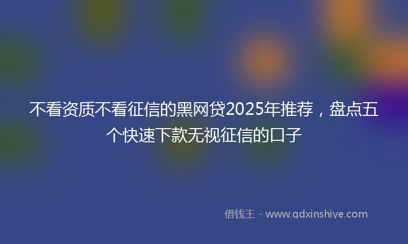 不看资质不看征信的黑网贷2025年推荐，盘点五个快速下款无视征信的口子