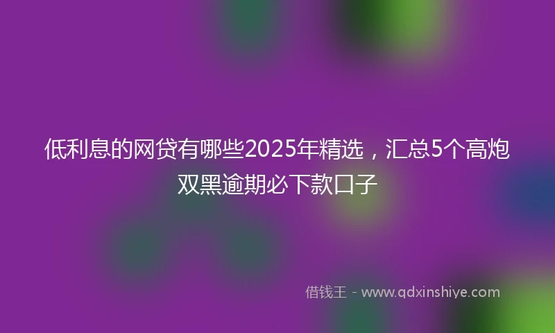 低利息的网贷有哪些2025年精选，汇总5个高炮双黑逾期必下款口子