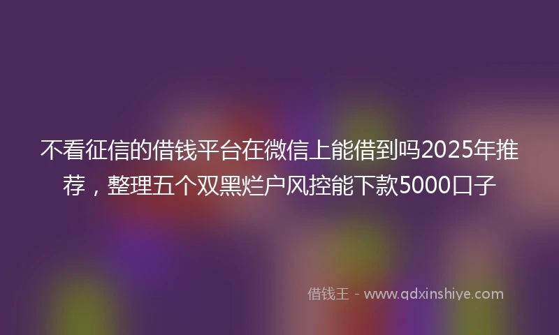不看征信的借钱平台在微信上能借到吗2025年推荐，整理五个双黑烂户风控能下款5000口子