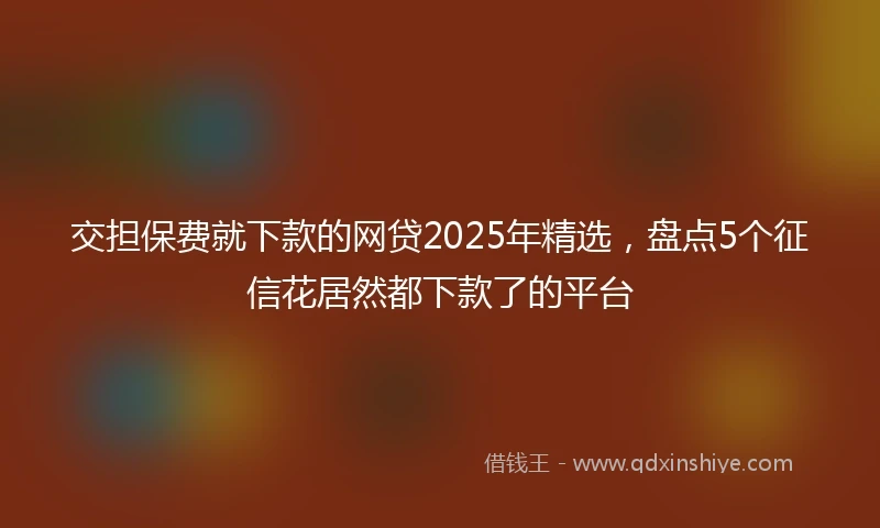 交担保费就下款的网贷2025年精选，盘点5个征信花居然都下款了的平台