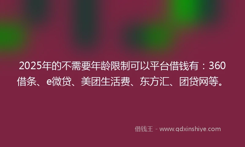 2025年的不需要年龄限制可以平台借钱有：360借条、e微贷、美团生活费、东方汇、团贷网等。