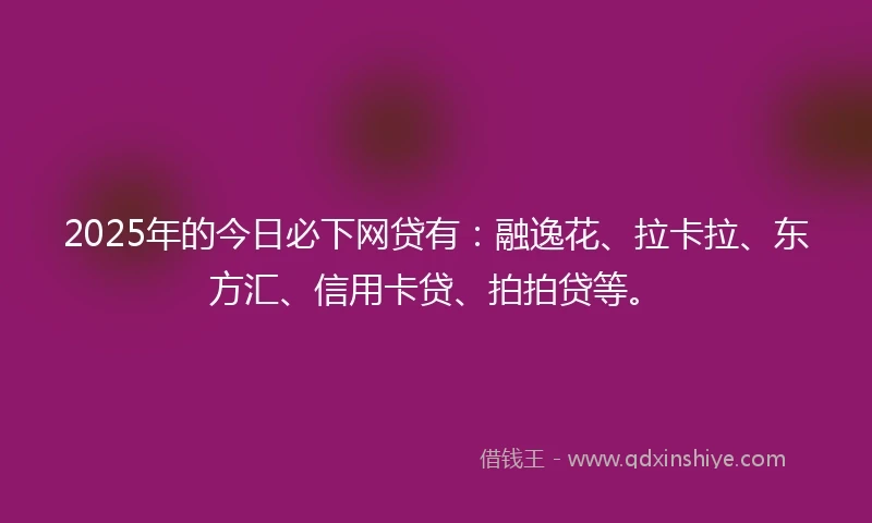 2025年的今日必下网贷有：融逸花、拉卡拉、东方汇、信用卡贷、拍拍贷等。