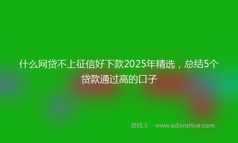 什么网贷不上征信好下款2025年精选，总结5个贷款通过高的口子