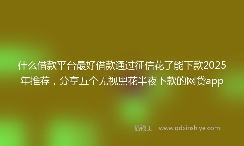 什么借款平台最好借款通过征信花了能下款2025年推荐，分享五个无视黑花半夜下款的网贷app