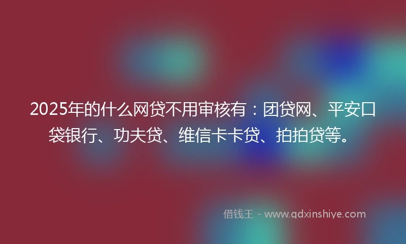 2025年的什么网贷不用审核有：团贷网、平安口袋银行、功夫贷、维信卡卡贷、拍拍贷等。