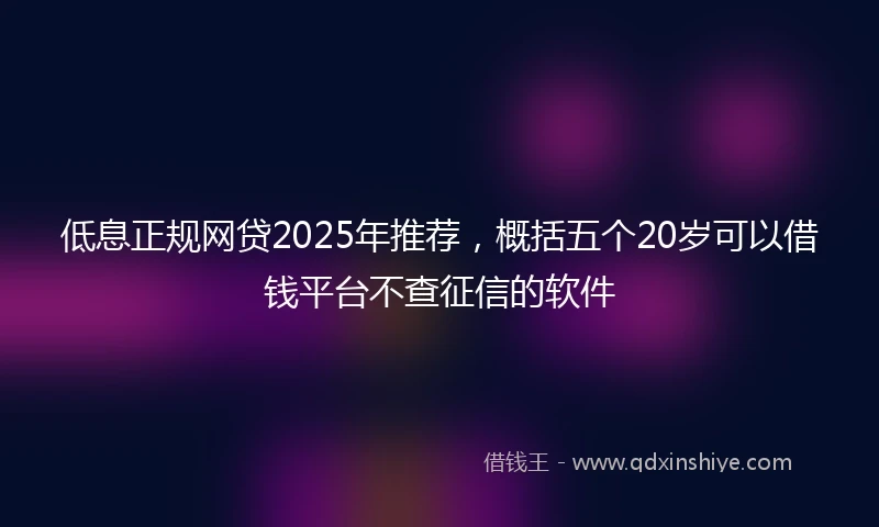 低息正规网贷2025年推荐，概括五个20岁可以借钱平台不查征信的软件