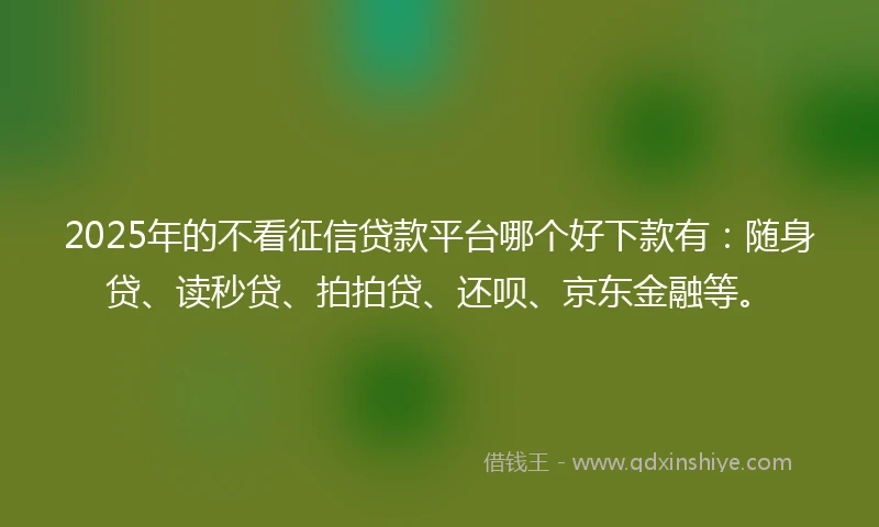 2025年的不看征信贷款平台哪个好下款有：随身贷、读秒贷、拍拍贷、还呗、京东金融等。