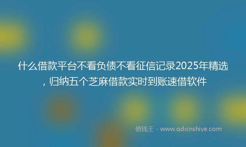 什么借款平台不看负债不看征信记录2025年精选，归纳五个芝麻借款实时到账速借软件