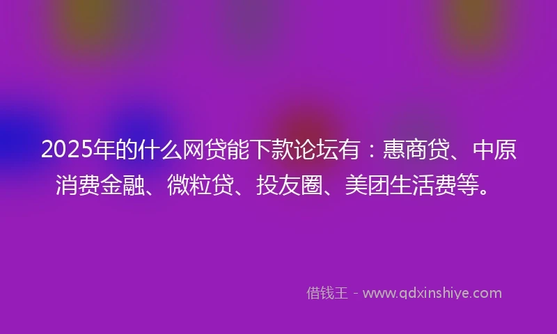 2025年的什么网贷能下款论坛有：惠商贷、中原消费金融、微粒贷、投友圈、美团生活费等。