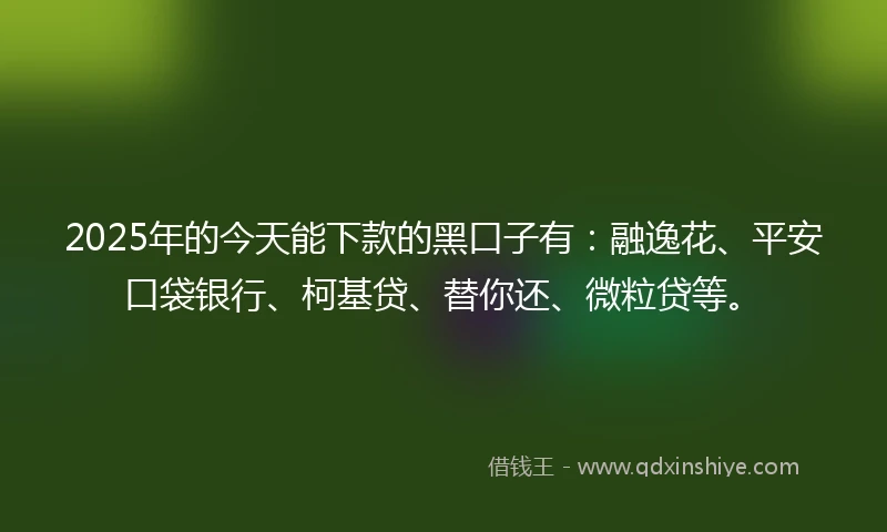 2025年的今天能下款的黑口子有:融逸花、平安口袋银行、柯基贷、替你还、微粒贷等。