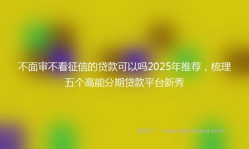 不面审不看征信的贷款可以吗2025年推荐，梳理五个高能分期贷款平台新秀