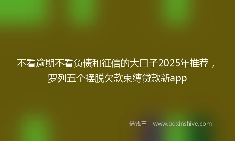 不看逾期不看负债和征信的大口子2025年推荐，罗列五个摆脱欠款束缚贷款新app