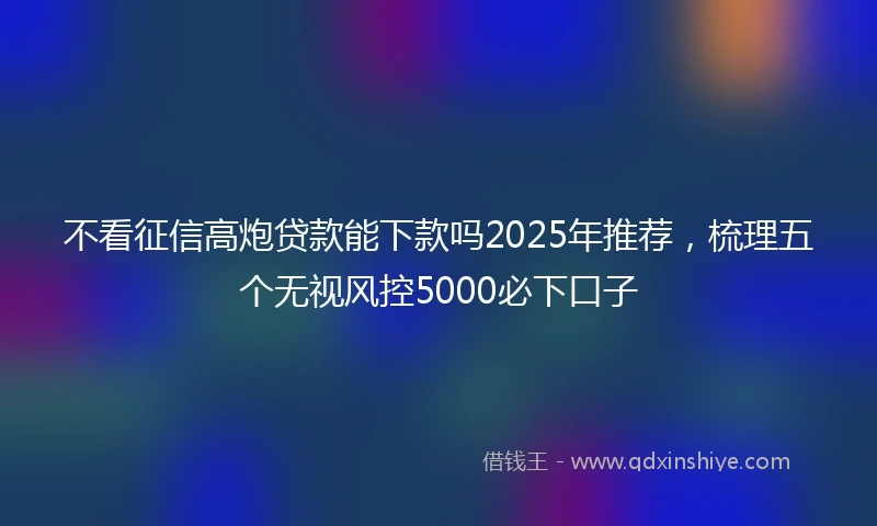 不看征信高炮贷款能下款吗2025年推荐，梳理五个无视风控5000必下口子