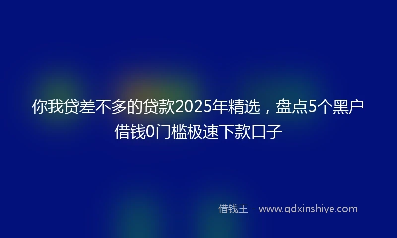 你我贷差不多的贷款2025年精选，盘点5个黑户借钱0门槛极速下款口子