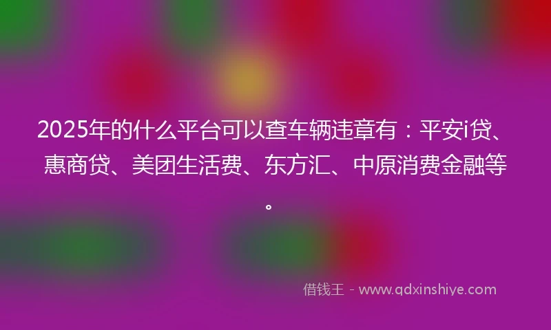 2025年的什么平台可以查车辆违章有：平安i贷、惠商贷、美团生活费、东方汇、中原消费金融等。