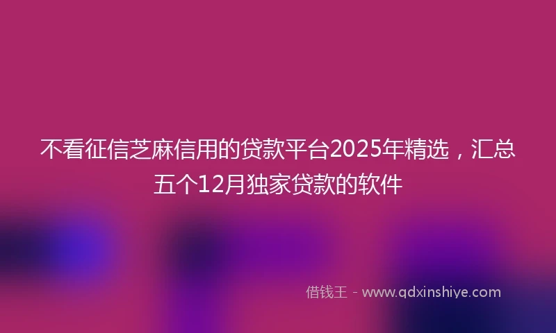 不看征信芝麻信用的贷款平台2025年精选，汇总五个12月独家贷款的软件