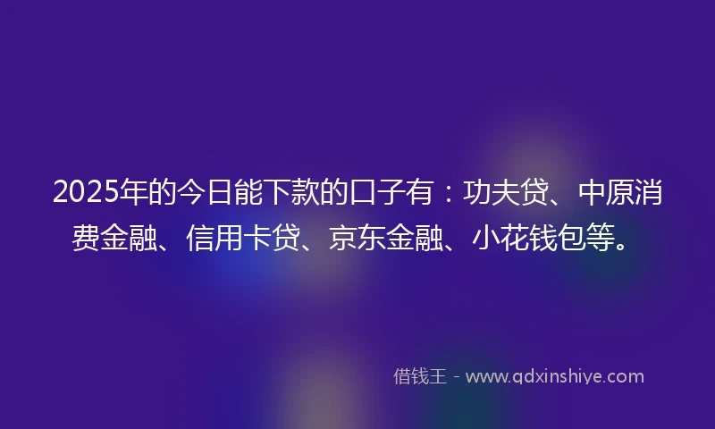 2025年的今日能下款的口子有:功夫贷、中原消费金融、信用卡贷、京东金融、小花钱包等。