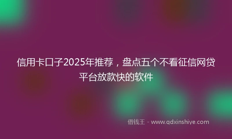 信用卡口子2025年推荐，盘点五个不看征信网贷平台放款快的软件