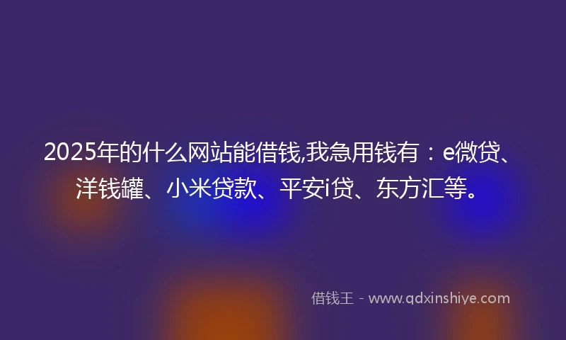 2025年的什么网站能借钱,我急用钱有：e微贷、洋钱罐、小米贷款、平安i贷、东方汇等。