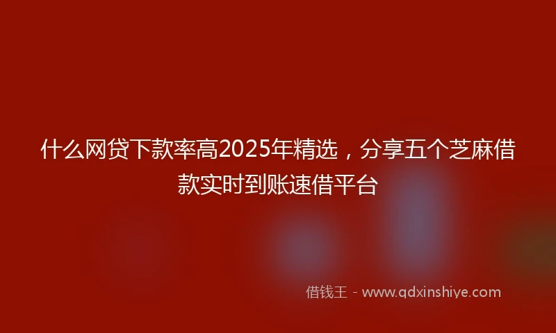 什么网贷下款率高2025年精选，分享五个芝麻借款实时到账速借平台