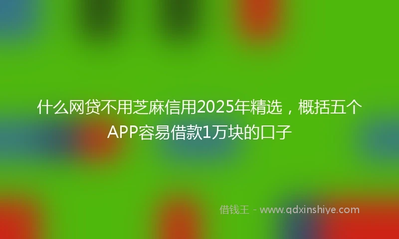 什么网贷不用芝麻信用2025年精选，概括五个APP容易借款1万块的口子