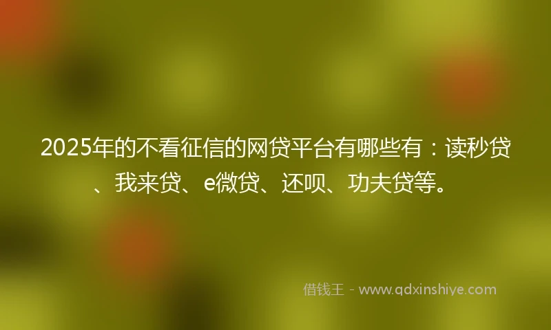 2025年的不看征信的网贷平台有哪些有：读秒贷、我来贷、e微贷、还呗、功夫贷等。