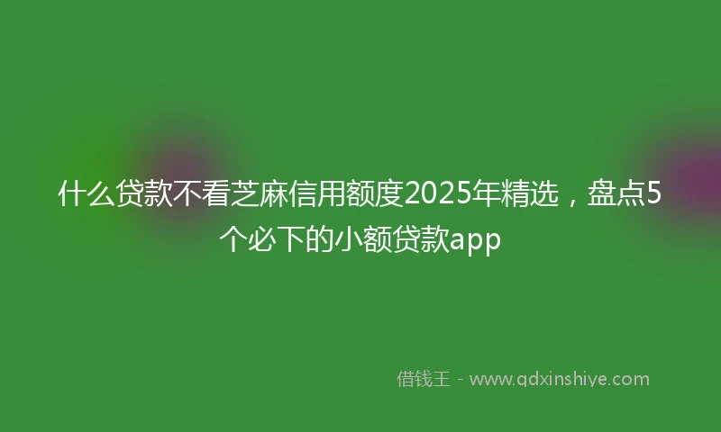 什么贷款不看芝麻信用额度2025年精选，盘点5个必下的小额贷款app