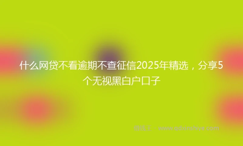 什么网贷不看逾期不查征信2025年精选，分享5个无视黑白户口子
