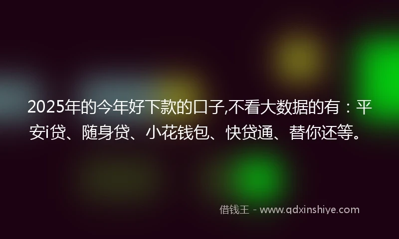 2025年的今年好下款的口子,不看大数据的有：平安i贷、随身贷、小花钱包、快贷通、替你还等。