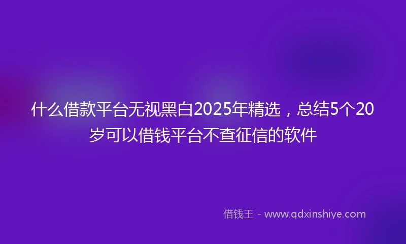 什么借款平台无视黑白2025年精选，总结5个20岁可以借钱平台不查征信的软件
