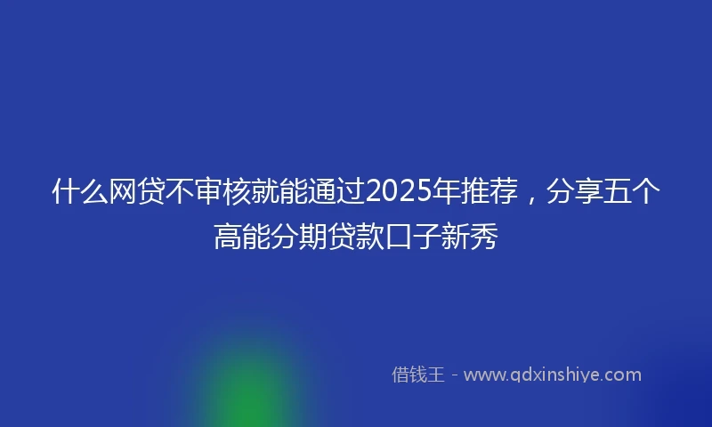什么网贷不审核就能通过2025年推荐，分享五个高能分期贷款口子新秀