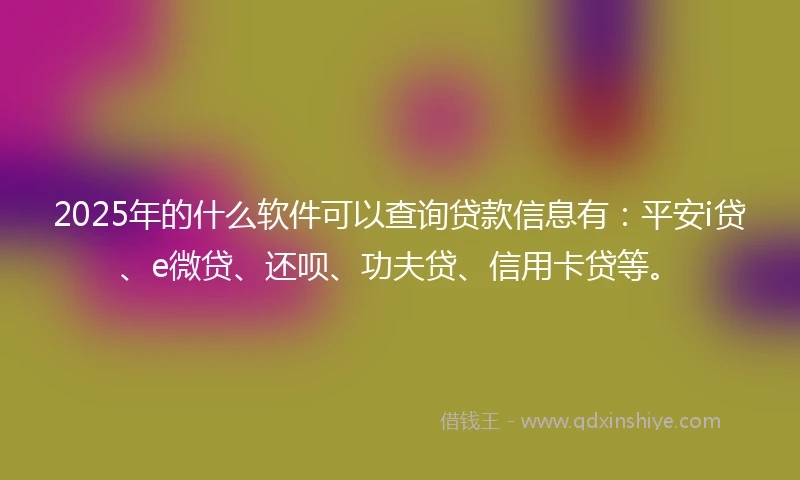 2025年的什么软件可以查询贷款信息有：平安i贷、e微贷、还呗、功夫贷、信用卡贷等。