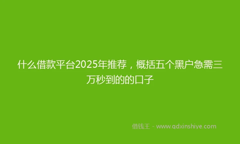 什么借款平台2025年推荐，概括五个黑户急需三万秒到的的口子