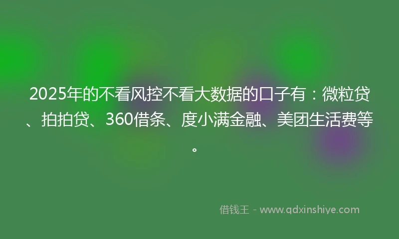 2025年的不看风控不看大数据的口子有：微粒贷、拍拍贷、360借条、度小满金融、美团生活费等。